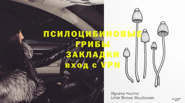 индика Балабаново