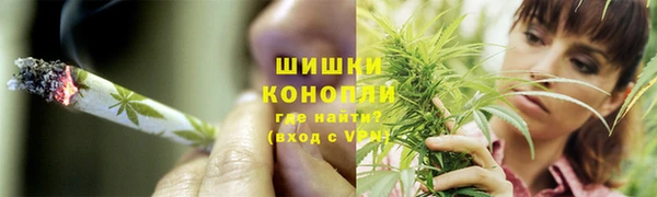 индика Балабаново