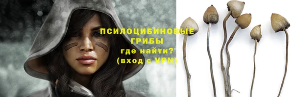 индика Балабаново