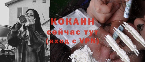 индика Балабаново