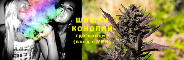 индика Балабаново