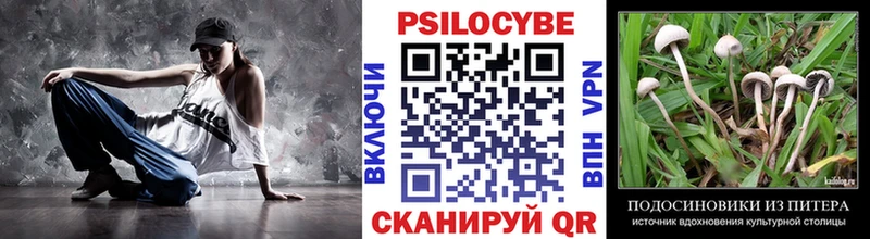купить наркотик  Кстово  Псилоцибиновые грибы мицелий 